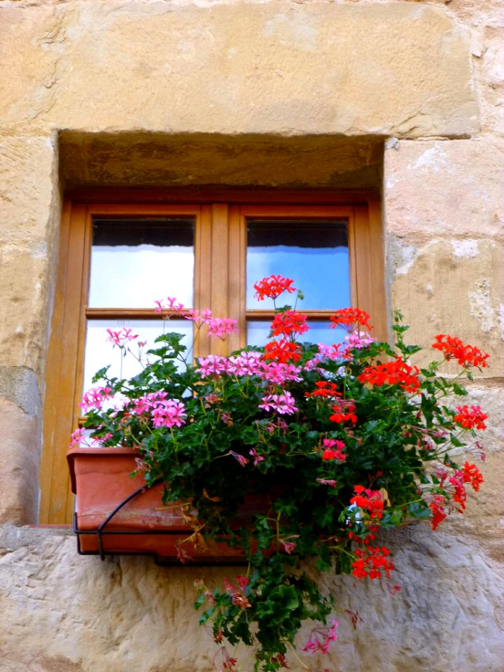 Santa Gadea del Cid 20