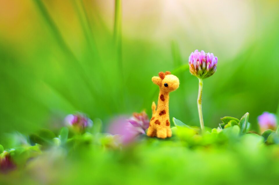 Little adorable cute