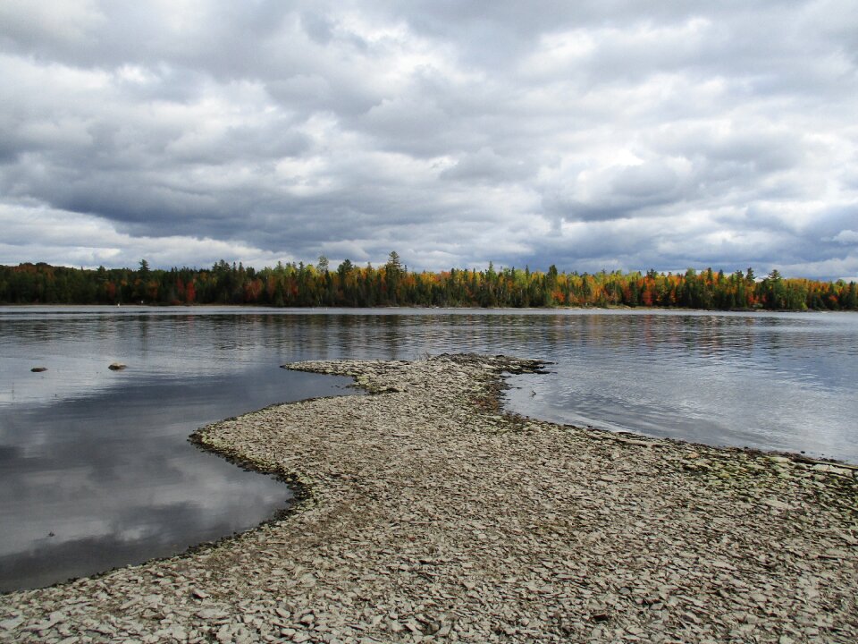 Fall nature water