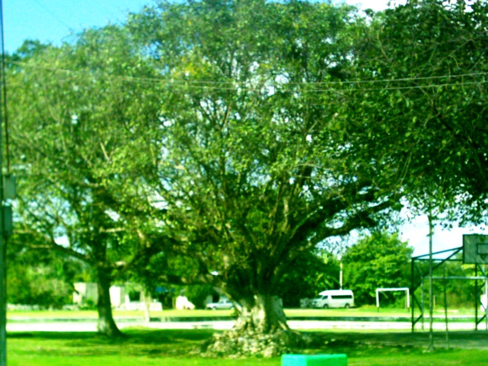 Santa María Chi, Yucatán (14)