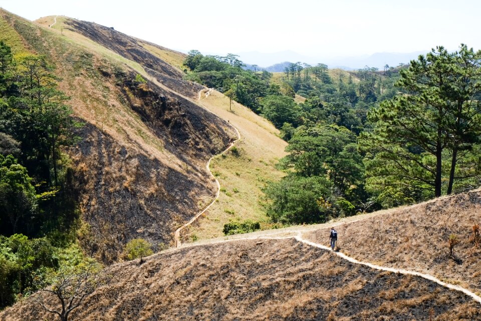 Moutain landscape viet nam