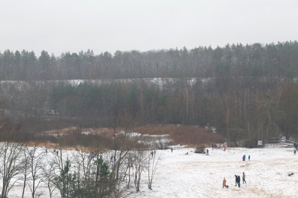 Sandgrube im Jagen 86 with snow 2021-01-03 06