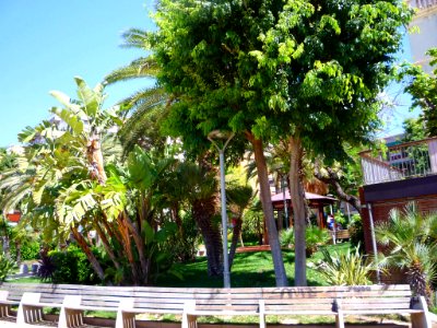 Sant Feliu de Llobregat - Jardins de la Torre del Roser 4