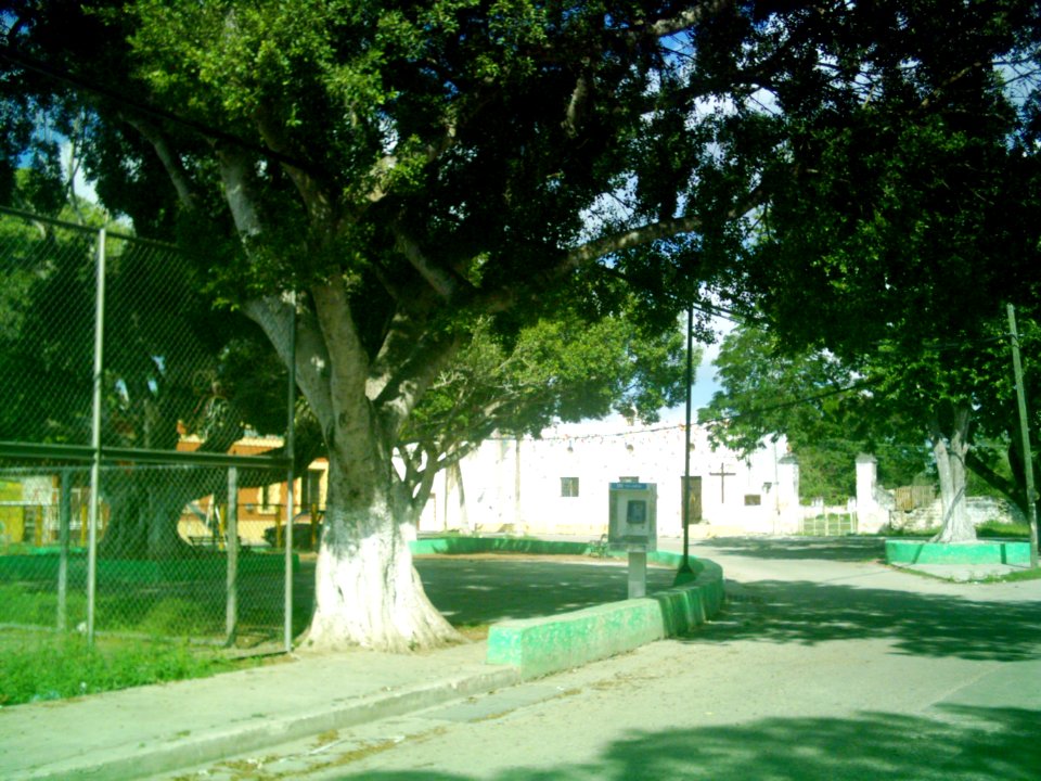 Santa Gertrudis Copó, Yucatán (06)