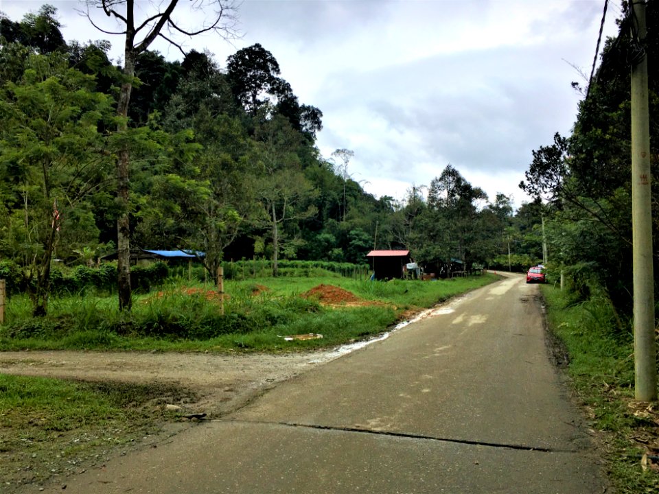 Santai Janda Baik 3