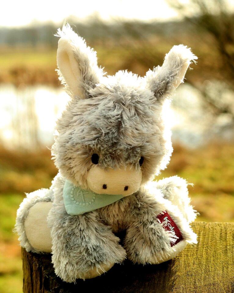 Soft toy garden pond
