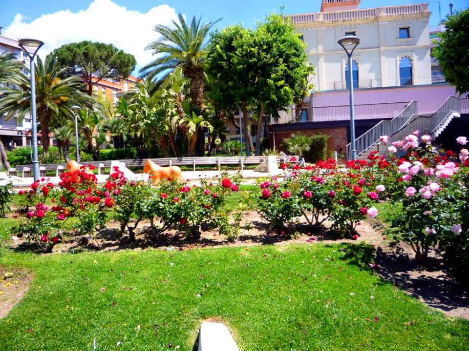 Sant Feliu de Llobregat - Jardins de la Torre del Roser 3