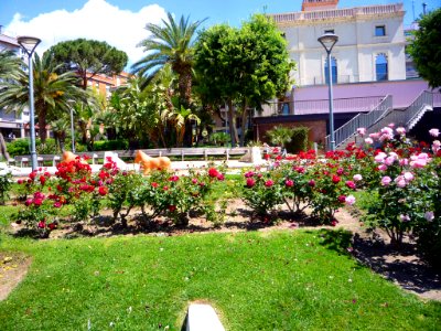 Sant Feliu de Llobregat - Jardins de la Torre del Roser 3