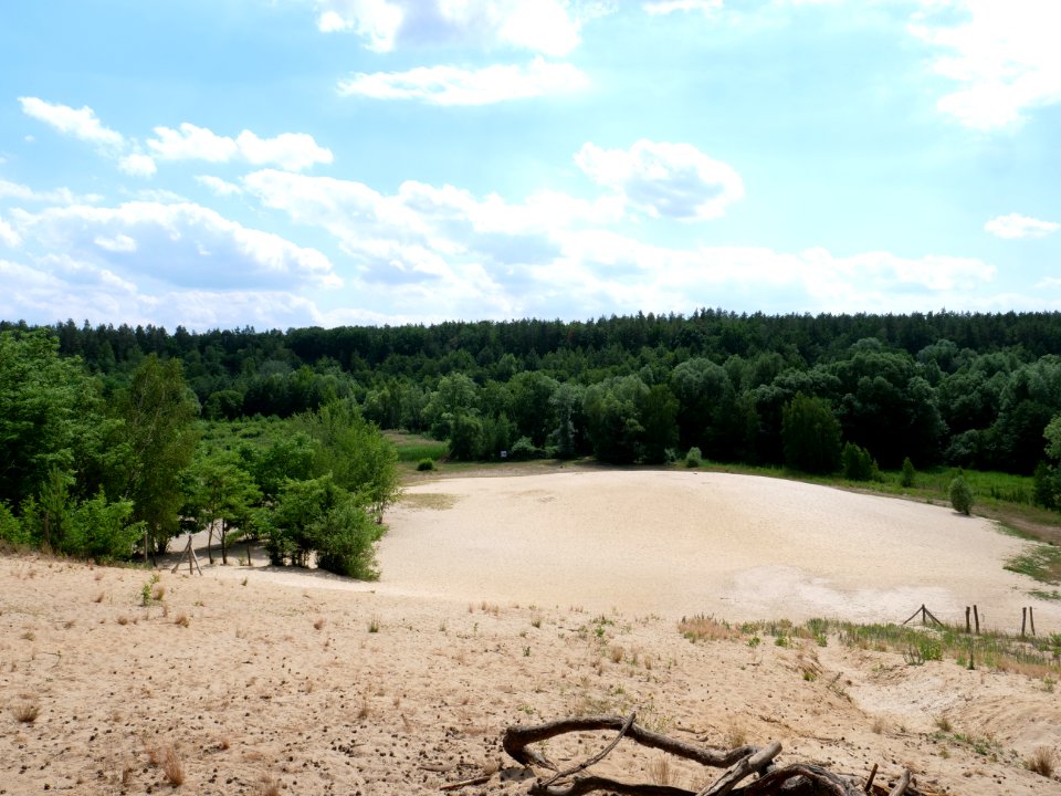 Sandgrube im Jagen 86 Grunewald 2019-07-01 06