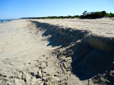 Sandy Hook beach NJ sand dune