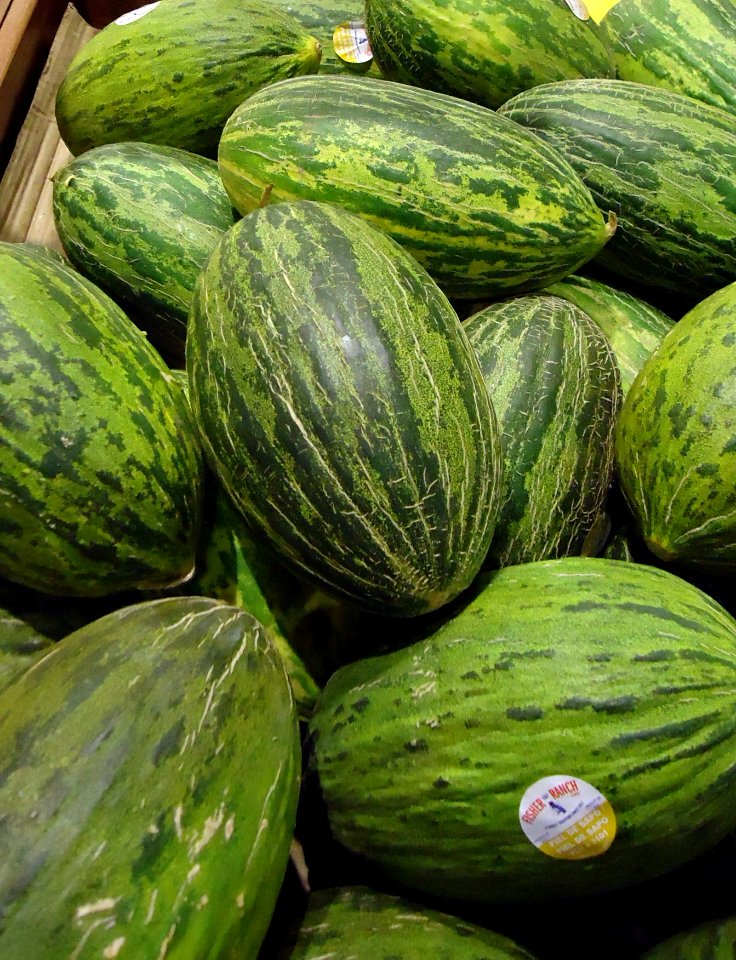 Santaclaus melon