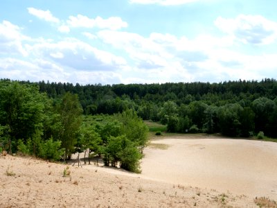 Sandgrube im Jagen 86 Grunewald 2019-07-01 07