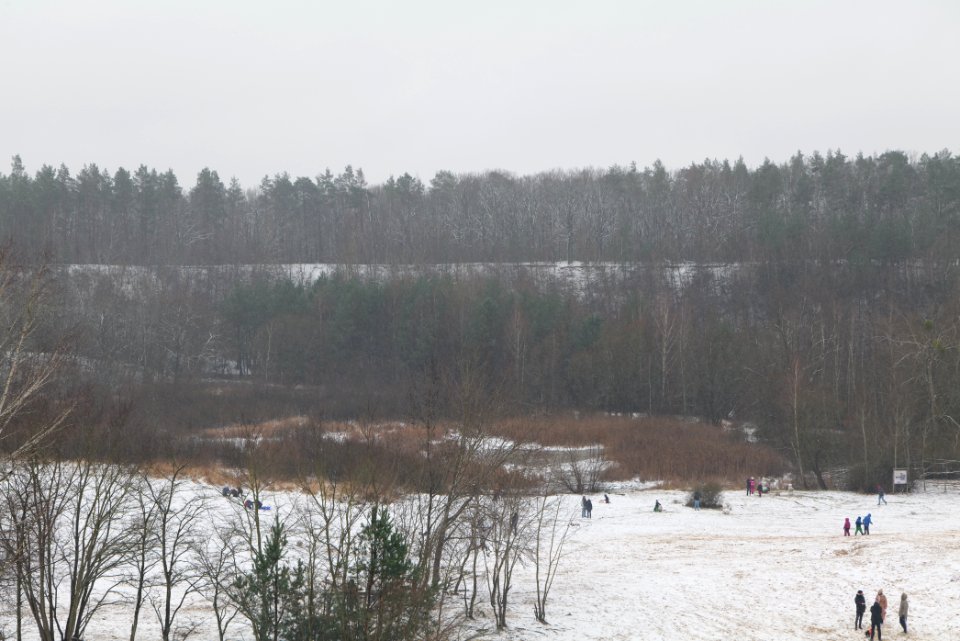 Sandgrube im Jagen 86 with snow 2021-01-03 03
