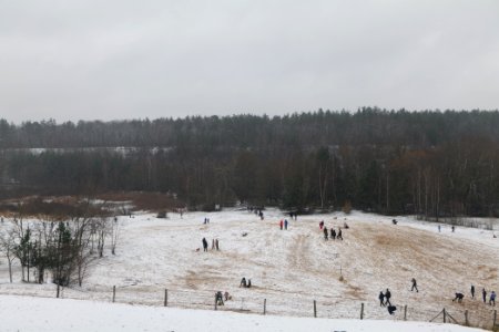 Sandgrube im Jagen 86 with snow 2021-01-03 04