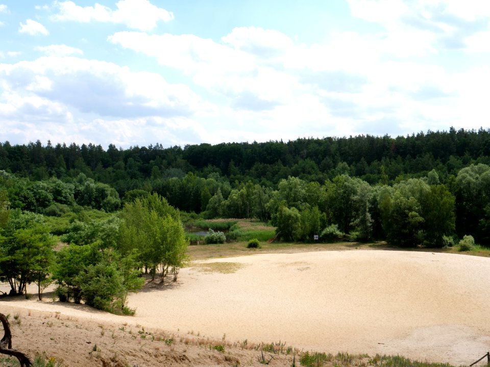 Sandgrube im Jagen 86 Grunewald 2019-07-01 12