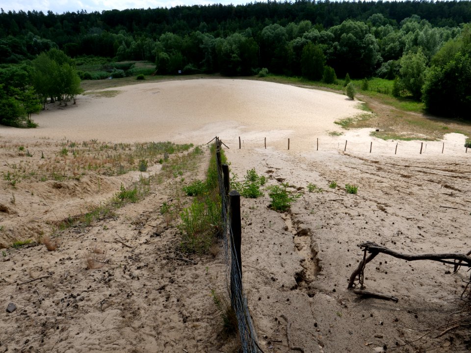 Sandgrube im Jagen 86 Grunewald 2019-07-01 21