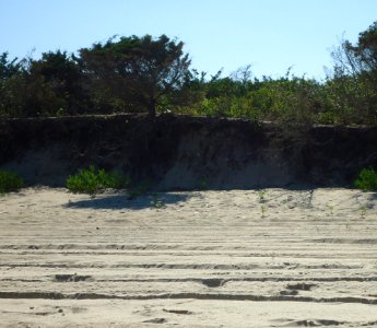 Sandy Hook beach NJ dunes photo