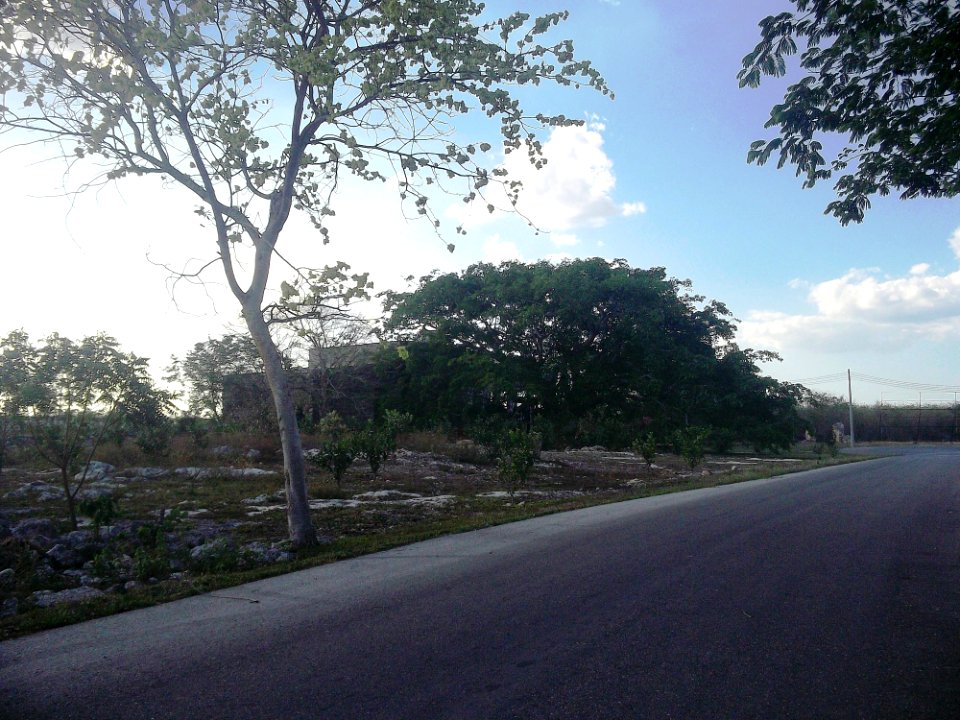 Santa María Zapata, Yucatán (01)