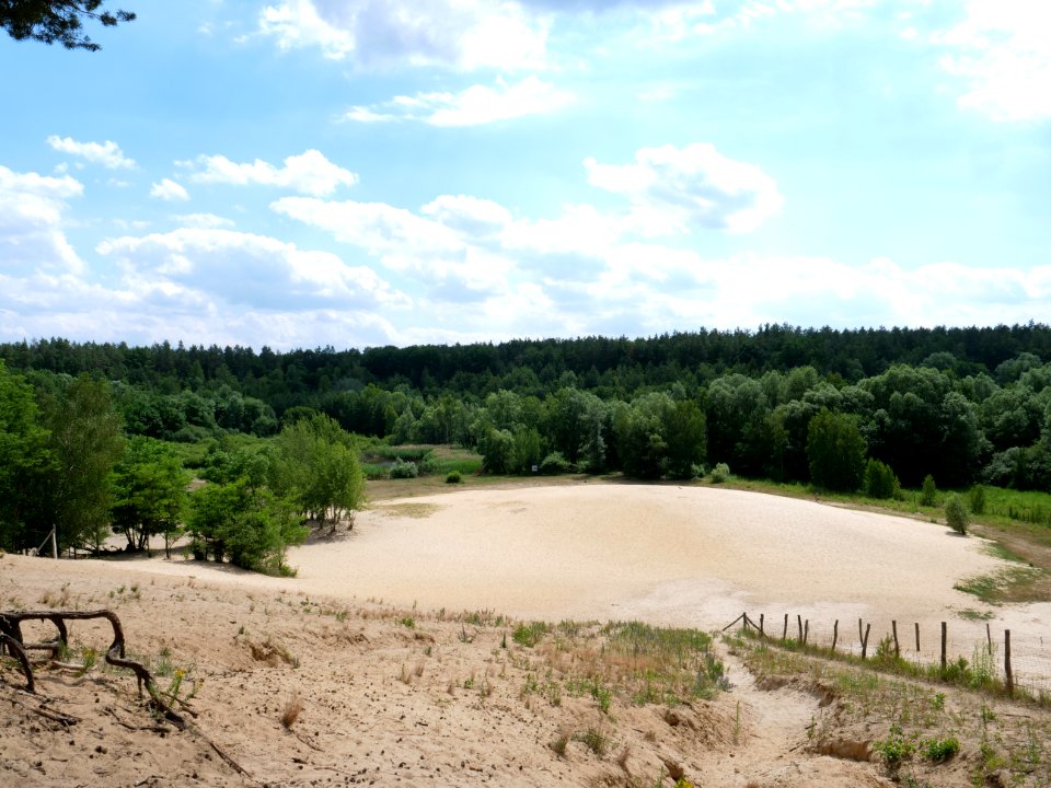 Sandgrube im Jagen 86 Grunewald 2019-07-01 10