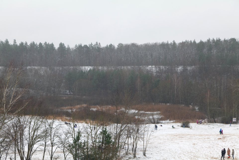 Sandgrube im Jagen 86 with snow 2021-01-03 02