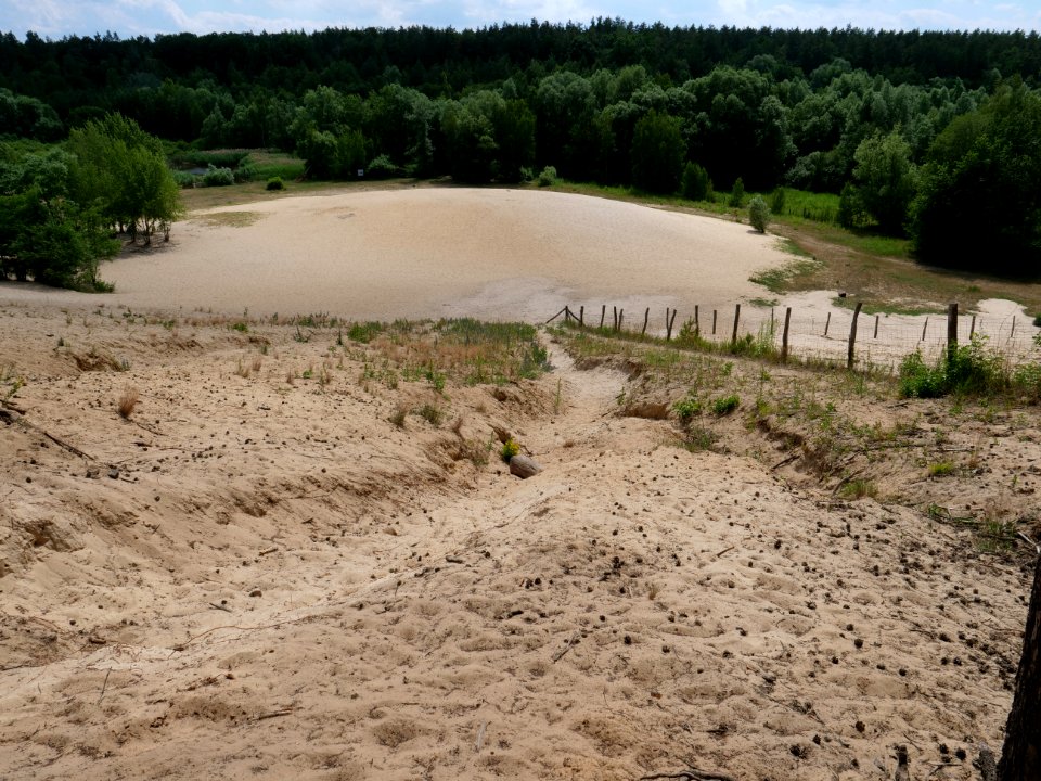 Sandgrube im Jagen 86 Grunewald 2019-07-01 13