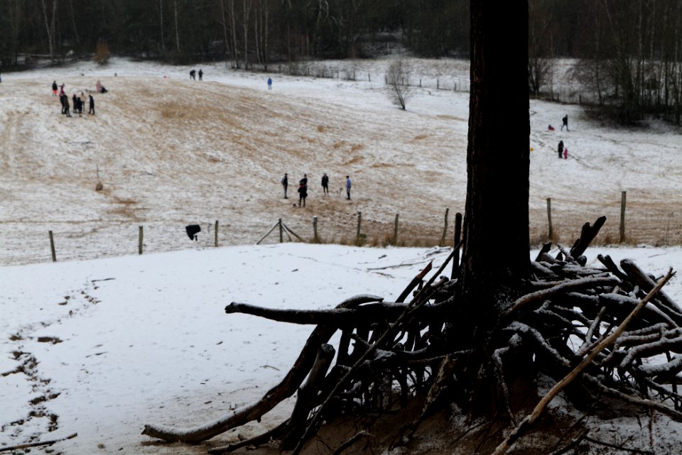 Sandgrube im Jagen 86 with snow 2021-01-03 07