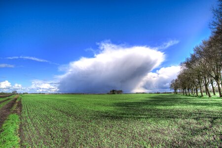 Cumulus sky clouds blue sky clouds photo