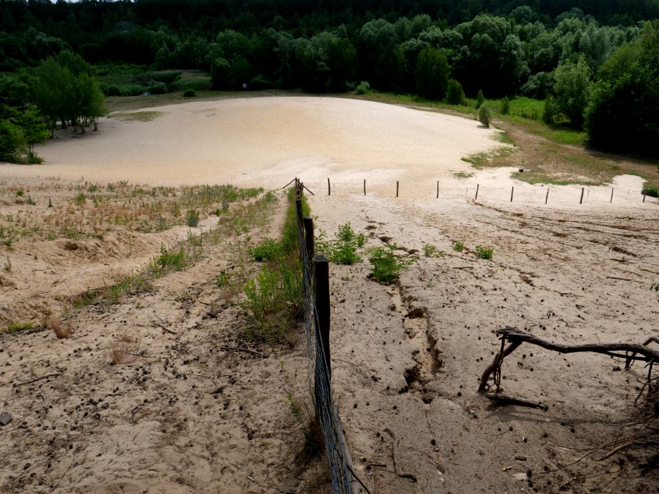 Sandgrube im Jagen 86 Grunewald 2019-07-01 22