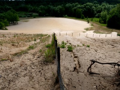 Sandgrube im Jagen 86 Grunewald 2019-07-01 22