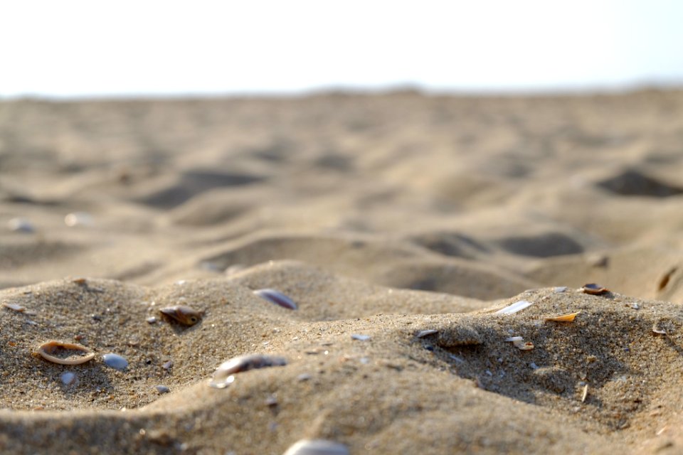 Sand On Beach (228163437)