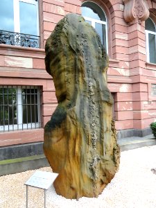 Sandstone with desert rose crystals - Naturmuseum Senckenberg - DSC02264