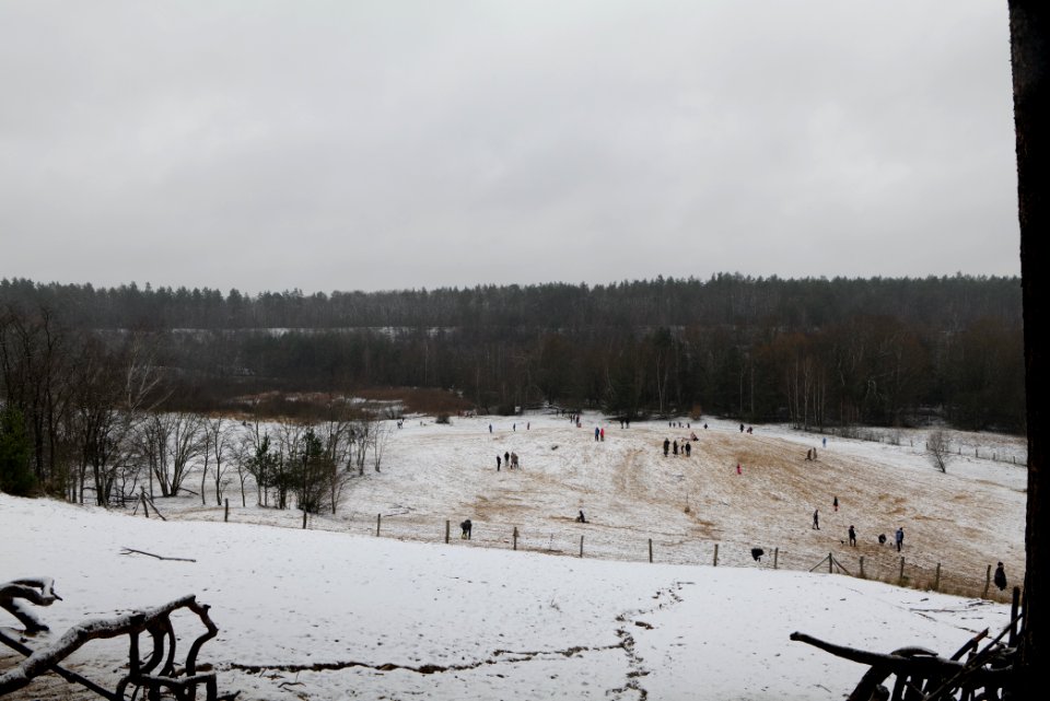 Sandgrube im Jagen 86 with snow 2021-01-03 01