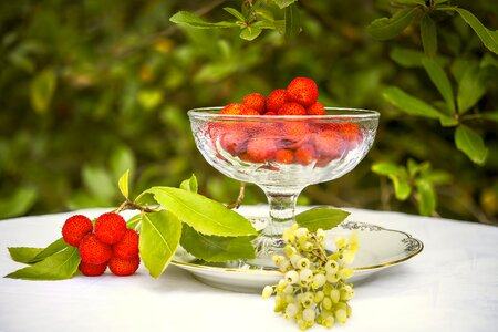 Fruit red vitamin