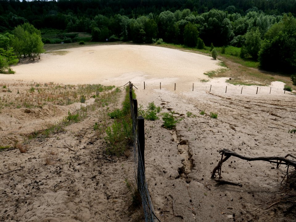 Sandgrube im Jagen 86 Grunewald 2019-07-01 23
