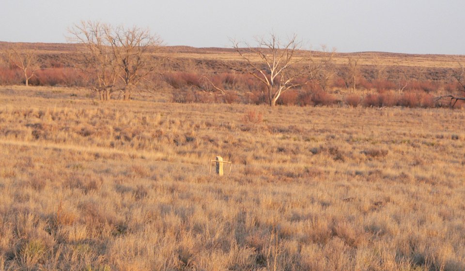 Santa Fe Trail limestone marker ca. half-mile W of KS27 - 2