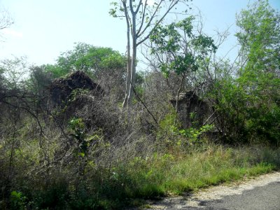 San Antonio Tzacalá, Yucatán (15)