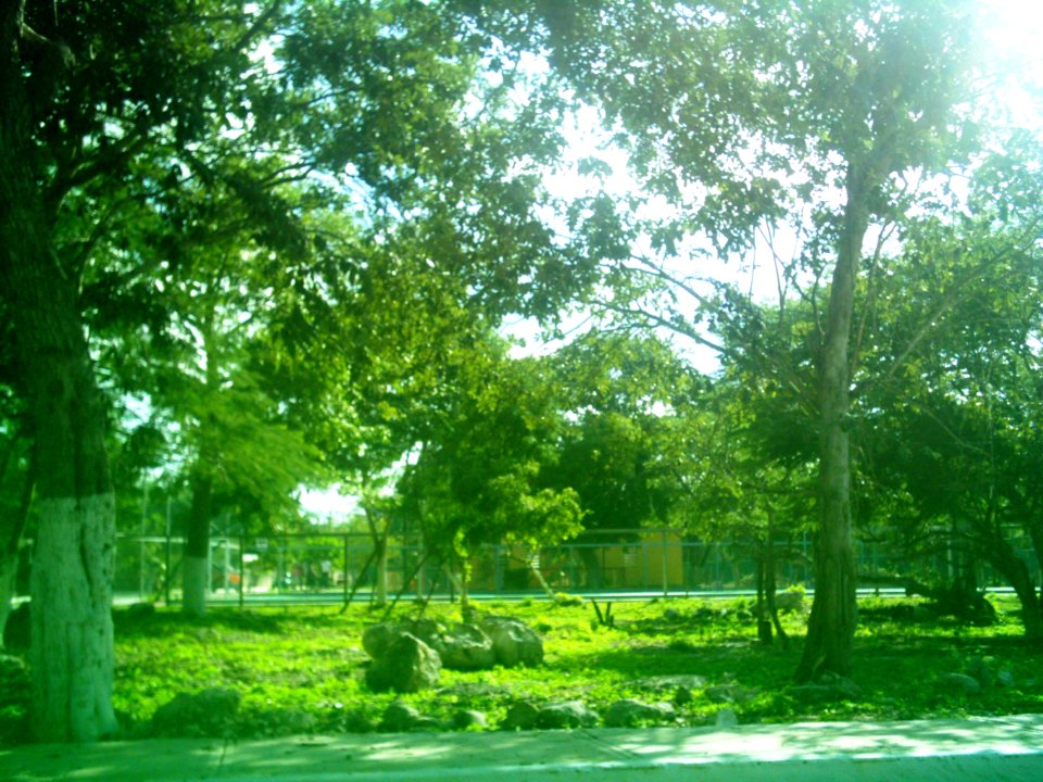 Santa María Yaxché (Mérida), Yucatán (01)