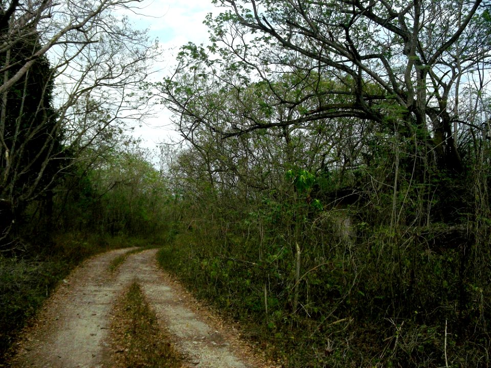San Antonio Holcá, Yucatán (04)