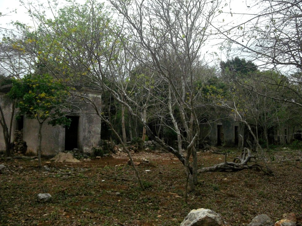 San Diego (Tekantó), Yucatán (02)