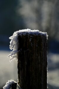 Iced crystals eiskristalle