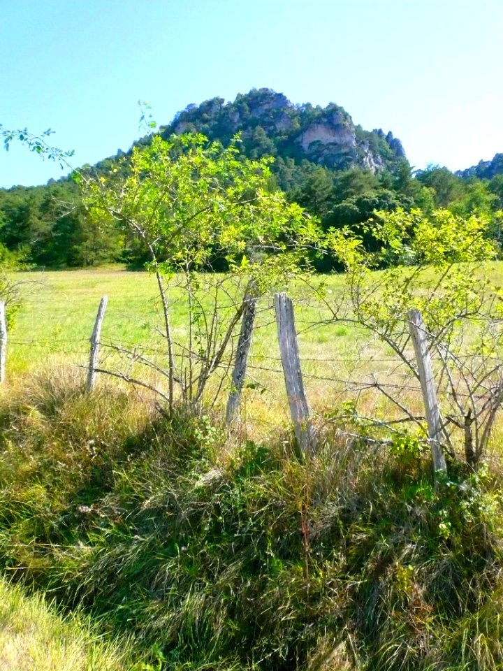San Zadornil , paraje campestre 2