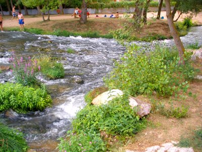 San Esteban de Gormaz - Río Duero 06