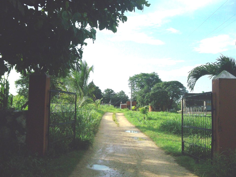 San Francisco (Tixkokob), Yucatán (02)