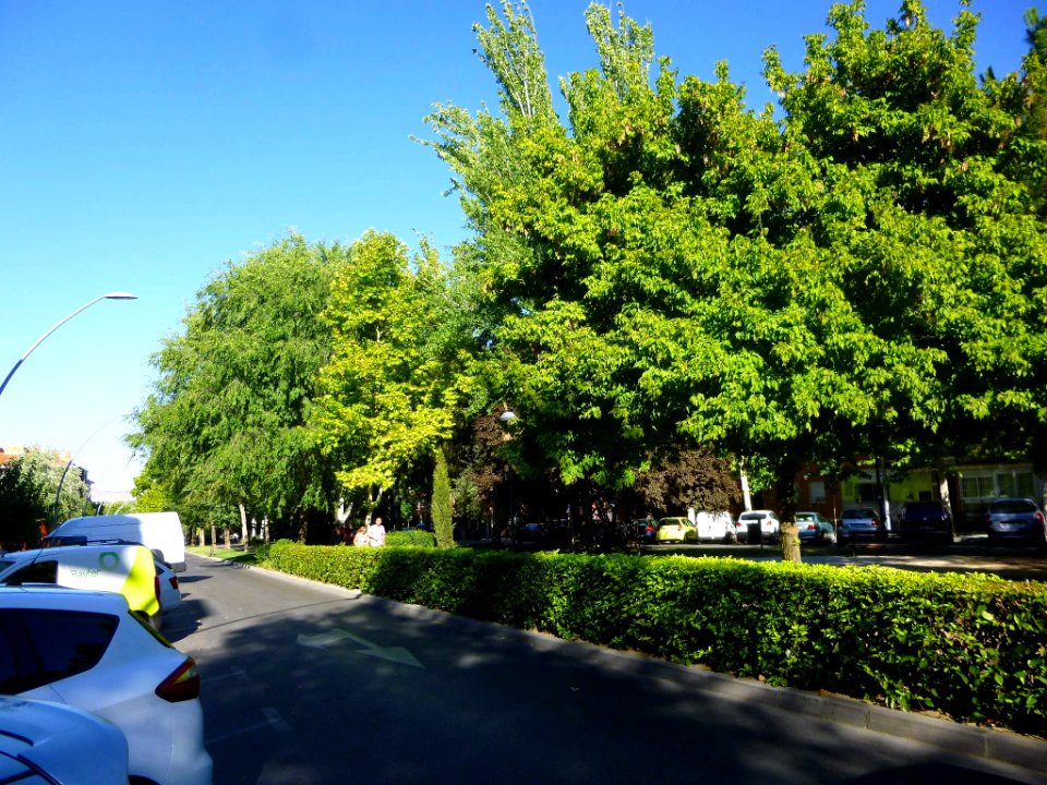 San Fernando de Henares 1