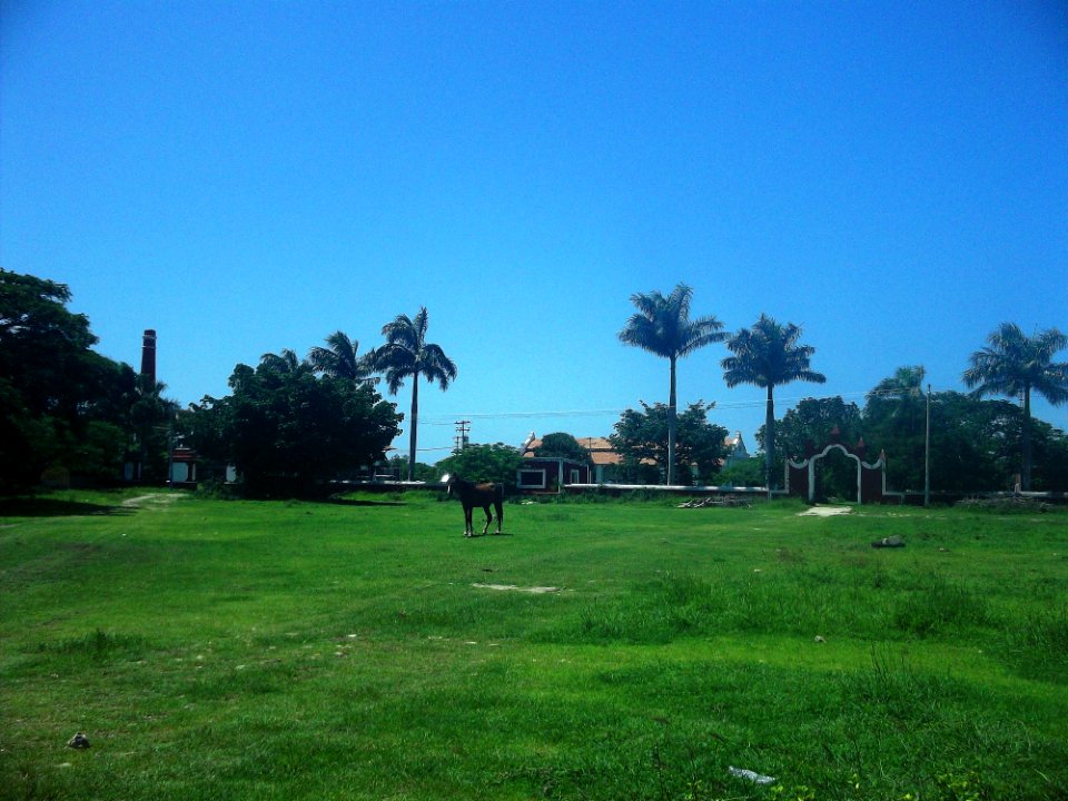San Eduardo (Dzemul), Yucatán (03)