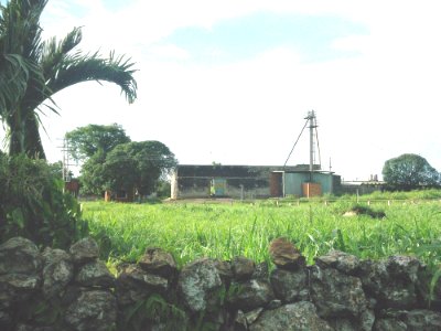San Francisco (Tixkokob), Yucatán (04)