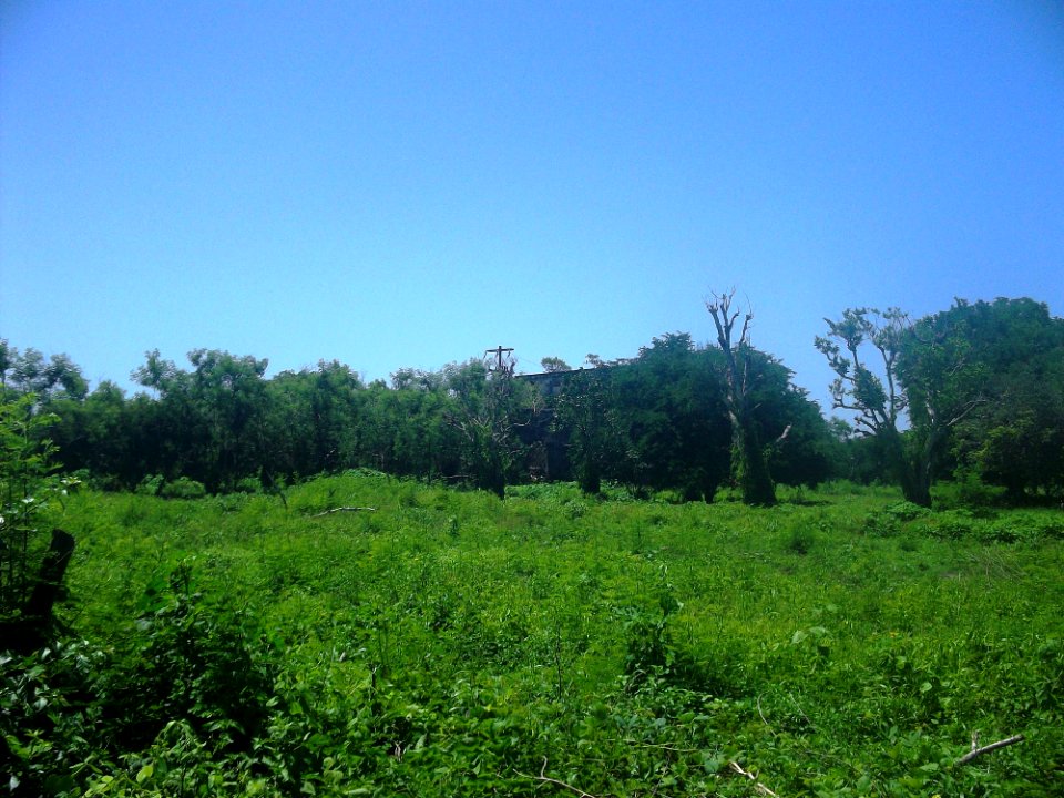 San Diego Guerra, Yucatán (03)