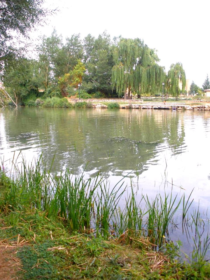 San Esteban de Gormaz - Río Duero 05