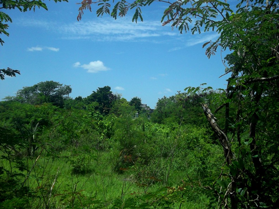San Antonio Sahcitán, Yucatán (02)