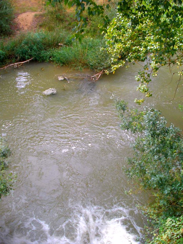 San Esteban de Gormaz - Río Duero 13